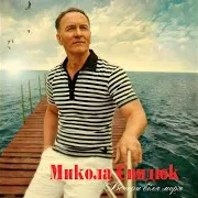 Микола Свидюк